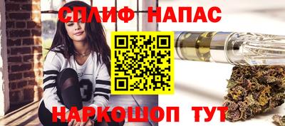 spice Гусев