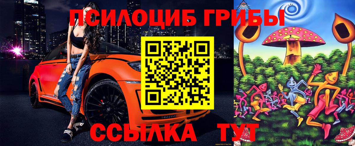 Мичуринск  Псилоцибиновые грибы мицелий  Вход с VPN 