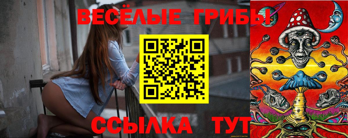 Псилоцибиновые грибы Magic Shrooms Мичуринск